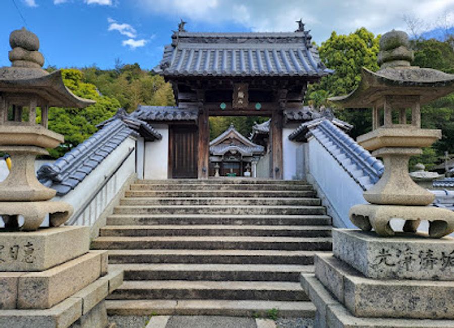 Discover the Ando Museum in Naoshima, a stunning fusion of contemporary art and architecture by Tadao Ando, set against a backdrop of natural beauty.