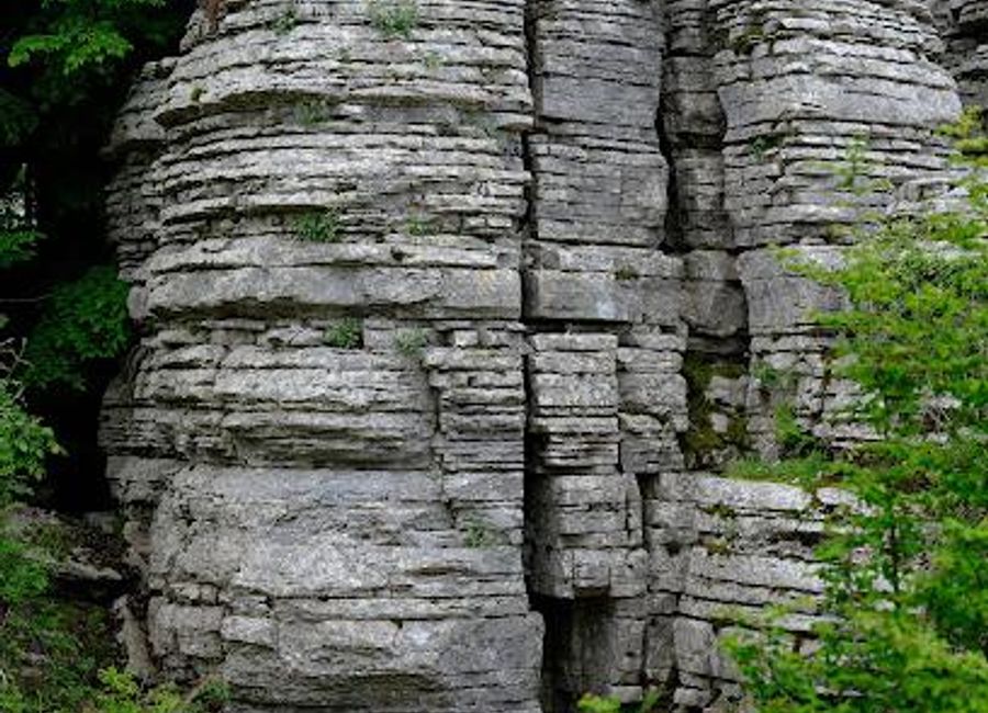 Explore the stunning Stone Forest of Kentriko Zagori, a natural wonder filled with unique rock formations and diverse wildlife, perfect for all nature lovers.