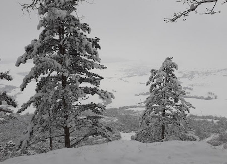 Explore Găurile Zmeilor, Romania's breathtaking natural attraction filled with stunning geological formations and unforgettable hiking adventures.