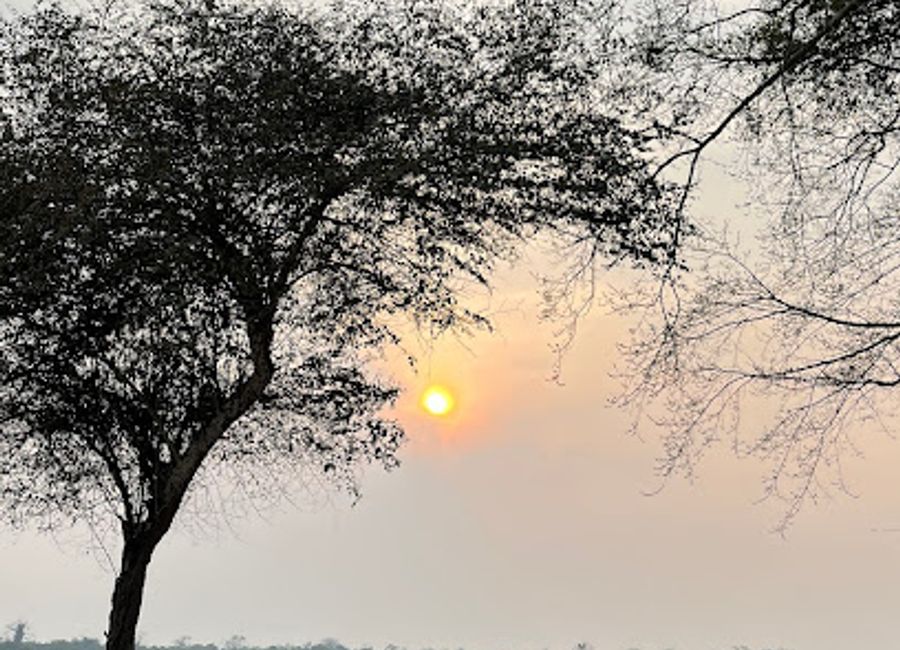 Explore the breathtaking views and wildlife at Kathpora Tower, a must-visit tourist attraction in Kohora, Assam.