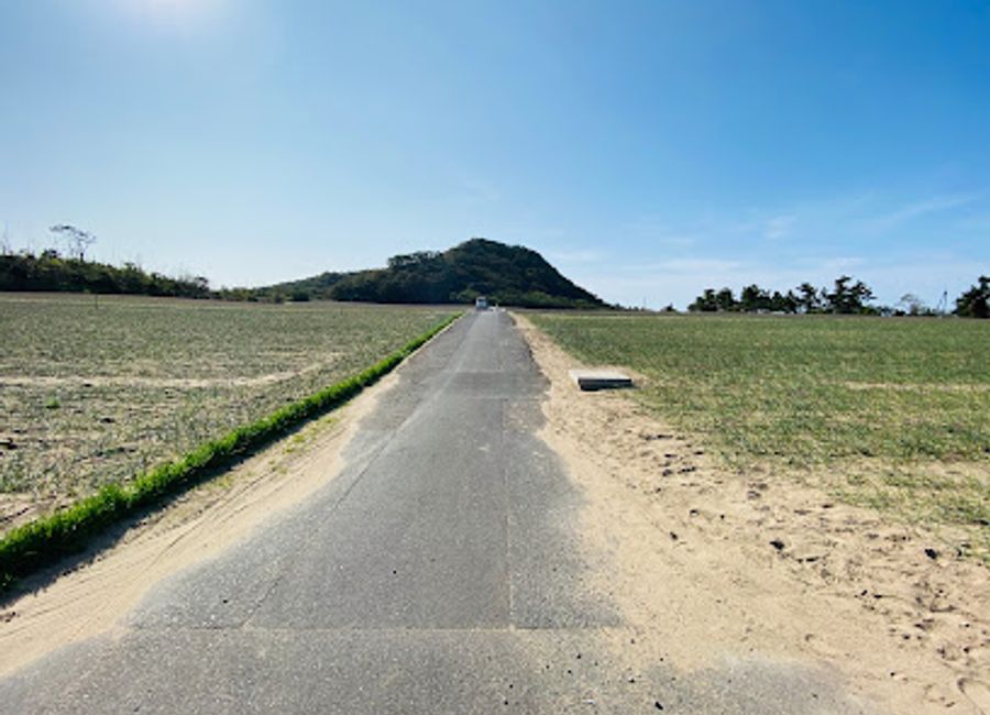 Experience the lush landscapes and vibrant scallions at the Yuyama District Scallion Field, a scenic farm and tourist attraction in Tottori.