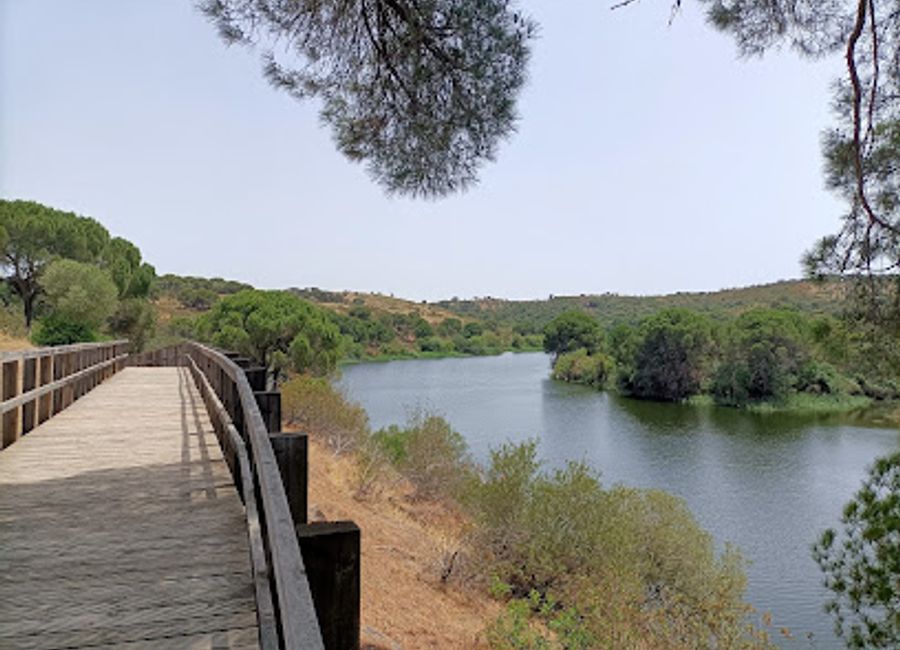 Explore the scenic wooden walkways and rich biodiversity of Passadiços do Gameiro, a serene hiking paradise in the heart of Portugal.