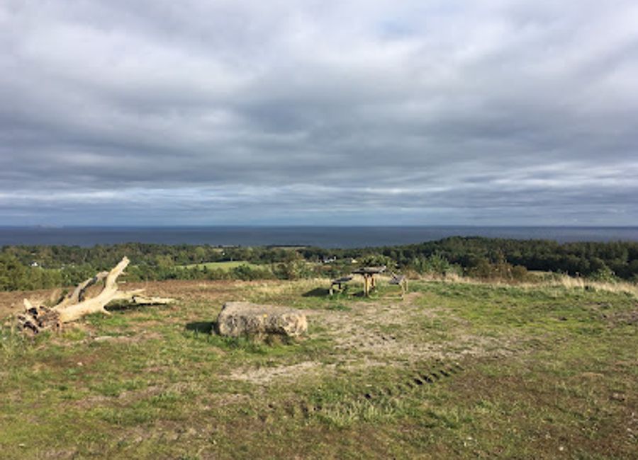 Experience the stunning views and serene beauty at Ellemandsbjerget Top in Knebel, a must-visit destination for nature lovers and photographers.