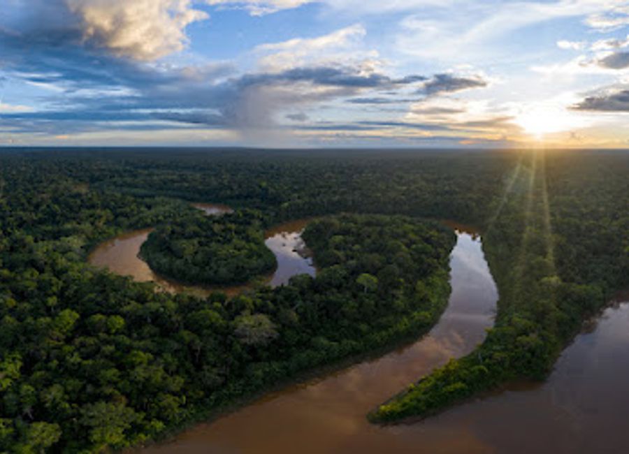 Explore the lush beauty of Secret Forest Regenwaldschutzgebiet, a wildlife refuge in Peru, perfect for nature lovers and eco-tourists seeking tranquility.