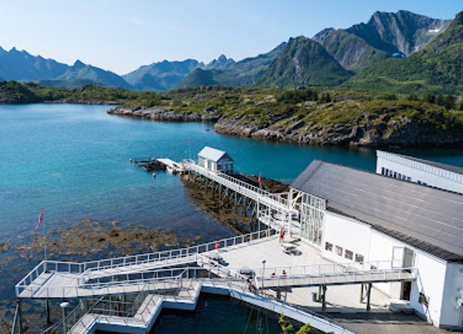 Explore Lofotakvariet, an enchanting aquarium in the Lofoten Islands, showcasing Arctic marine life and offering unforgettable family experiences.