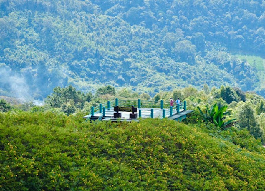 Discover the stunning Thung Bua Tong Fields at Doi Mae U Kho, a breathtaking sunflower paradise in Thailand's Mae Hong Son province.