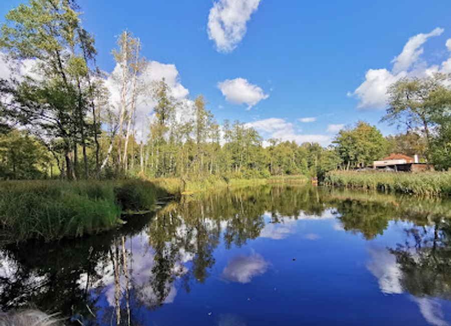 Mazury Landscape Park: A Natural Paradise in Poland, Perfect for Nature Lovers and Outdoor Adventurers.