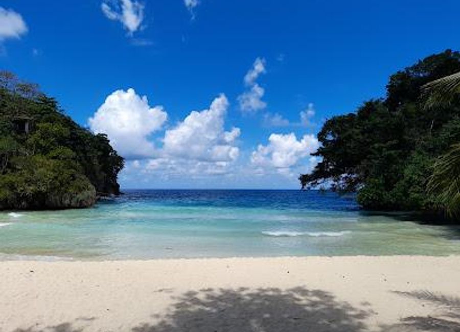 Experience the tranquil beauty of Frenchman's Cove Beach, a hidden gem in Jamaica with soft sands and crystal-clear waters.