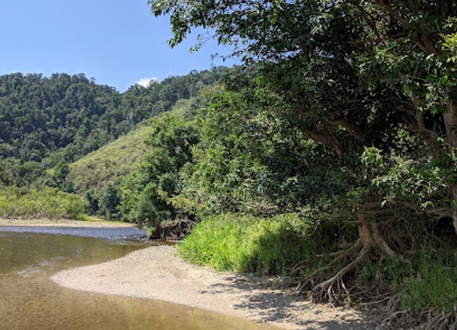 Discover tranquility and biodiversity at Whyanbeel Arboretum, a must-visit destination for nature lovers in Queensland, Australia.