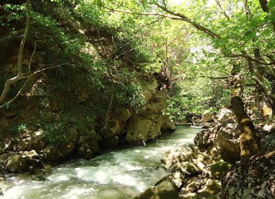 Experience the breathtaking beauty of Vouraikos River in Diakopto, Greece, where nature meets adventure in an unforgettable setting.