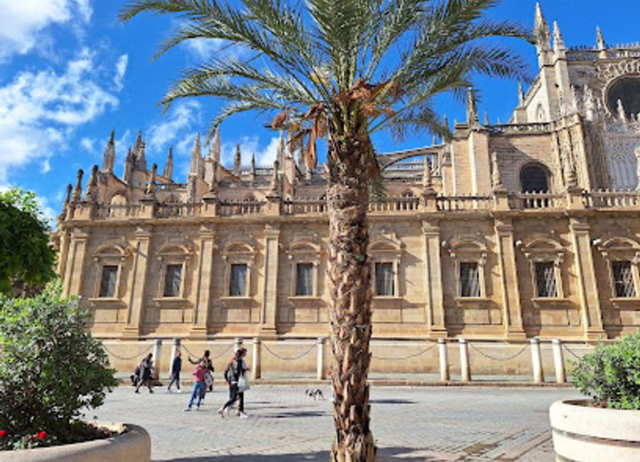 Discover the breathtaking beauty of Muelle del atardecer sevillano, a serene pier in Seville offering stunning sunset views and a tranquil atmosphere for visitors.