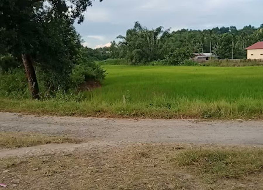 Discover the scenic Selfie Point in Kohora, Assam, a must-see tourist attraction for stunning photography and unforgettable memories in nature.