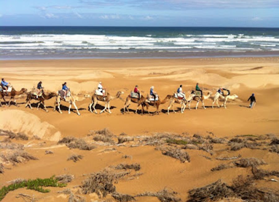 Experience the stunning coastal landscapes and rich cultural heritage of Essaouira through ecotourism and hiking adventures.