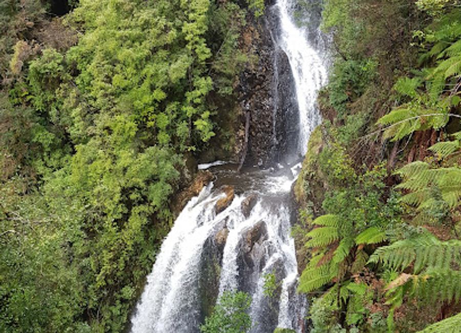 Experience the breathtaking beauty of Philosopher Falls, a must-visit scenic spot in Tasmania, perfect for nature lovers and adventurers alike.