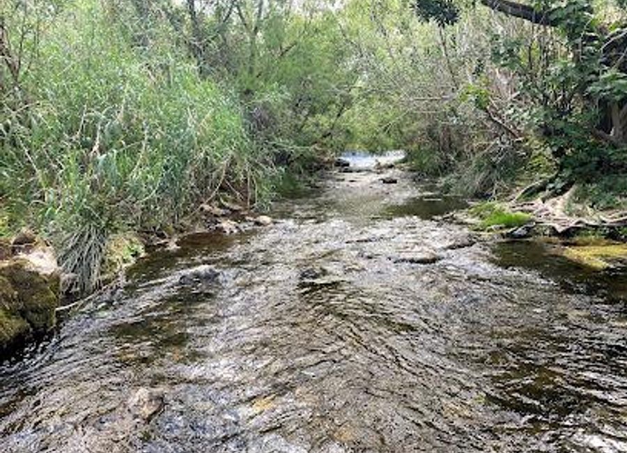 Explore the enchanting natural beauty and diverse wildlife at Fonte Benémola, a premier hiking destination in Loulé, Portugal.