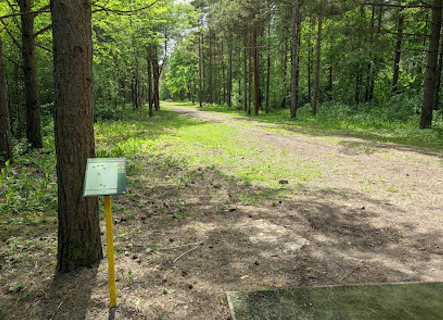 Immerse yourself in the serene landscapes of Musumä Nniku Terviserajad, a pristine hiking area in Saare County, Estonia, perfect for nature lovers.