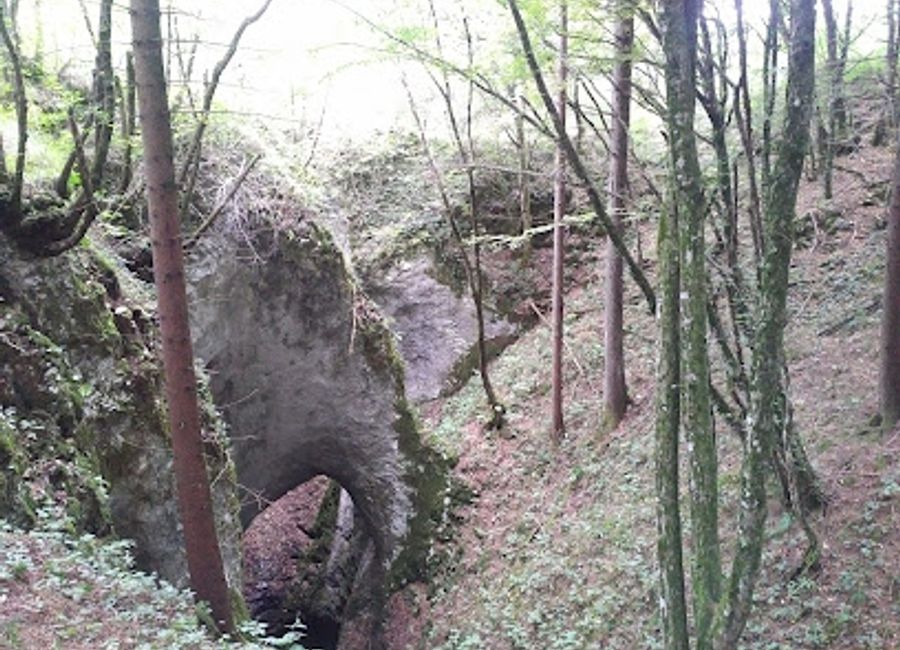Explore the captivating beauty of Medjame Natural Park, Slovenia's wildlife sanctuary filled with diverse flora, fauna, and serene landscapes.