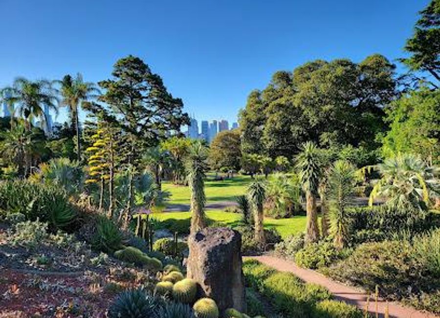 Explore the Royal Botanic Gardens Victoria in Melbourne - A serene escape with stunning flora, tranquil lakes, and a perfect retreat for nature lovers.