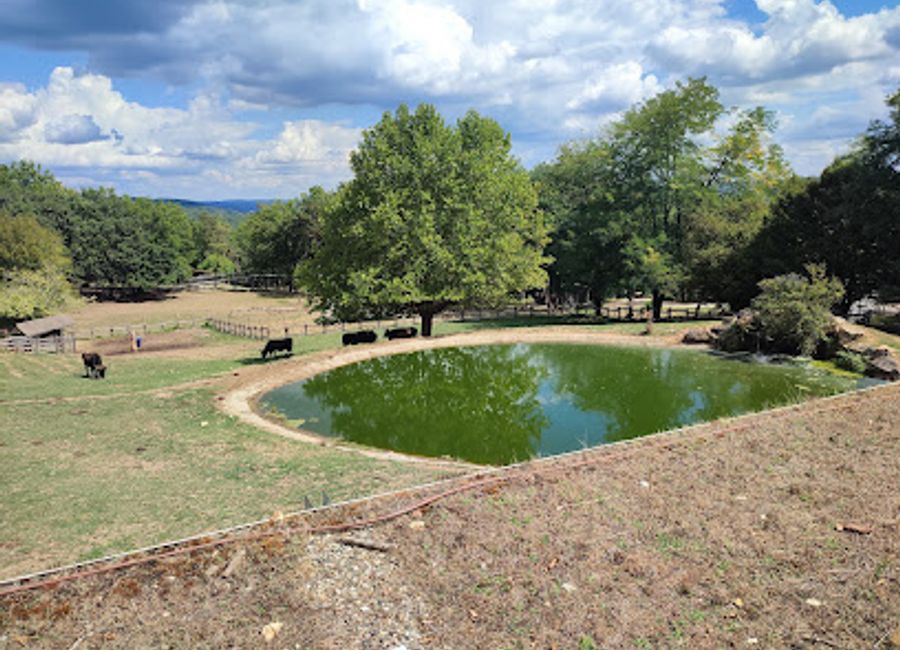 Explore the world of Cro-Magnon humans at Thot Park: augmented reality, wildlife, and prehistoric art await in the Vézère Valley.