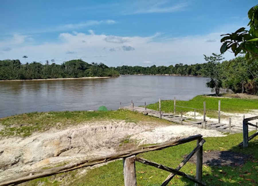 Discover the breathtaking biodiversity and stunning landscapes of Allpahuayo-Mishana National Reserve, a gem in the heart of Peru's Amazon rainforest.