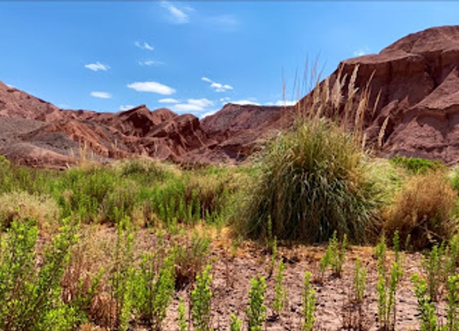 Discover the breathtaking beauty of Devil's Throat in San Pedro de Atacama, where nature's artistry meets dramatic landscapes and serene tranquility.