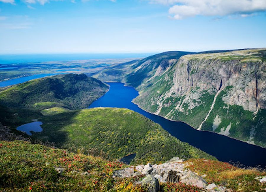 Discover the breathtaking Gros Morne Mountain Hiking Trail in Newfoundland, a challenging hike with stunning views and diverse wildlife.