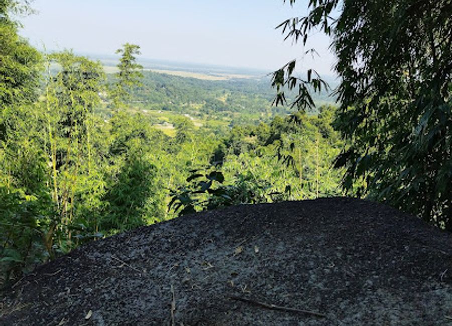 Explore the breathtaking Jambili Trekking Trail in Assam, a paradise for hikers and nature lovers filled with stunning views and diverse wildlife.