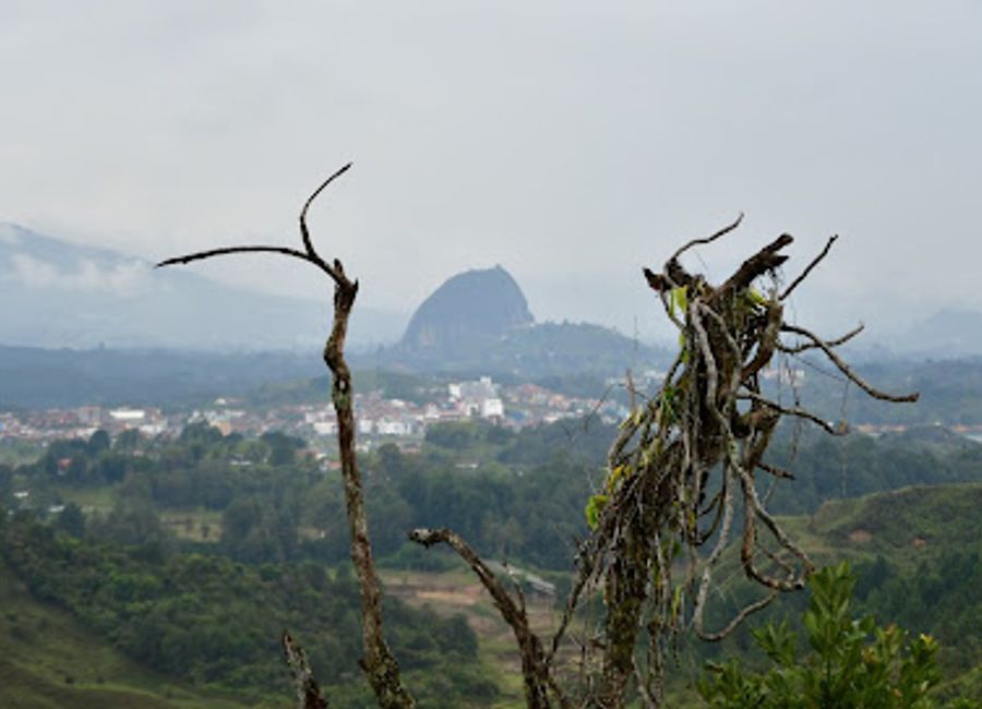 Experience the breathtaking beauty of nature at Reserva Natural de la Sociedad Civil La Imaginación, a tranquil preserve in Guatapé, Antioquia.