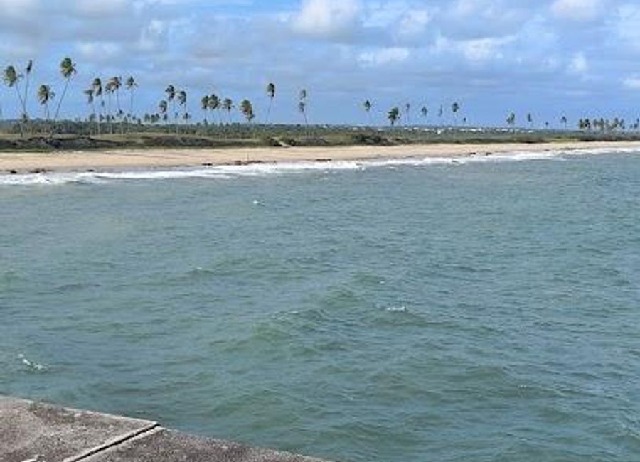 Experience the vibrant culture and stunning beauty of Praia de Arembepe, a tropical paradise in Bahia, perfect for relaxation and adventure.