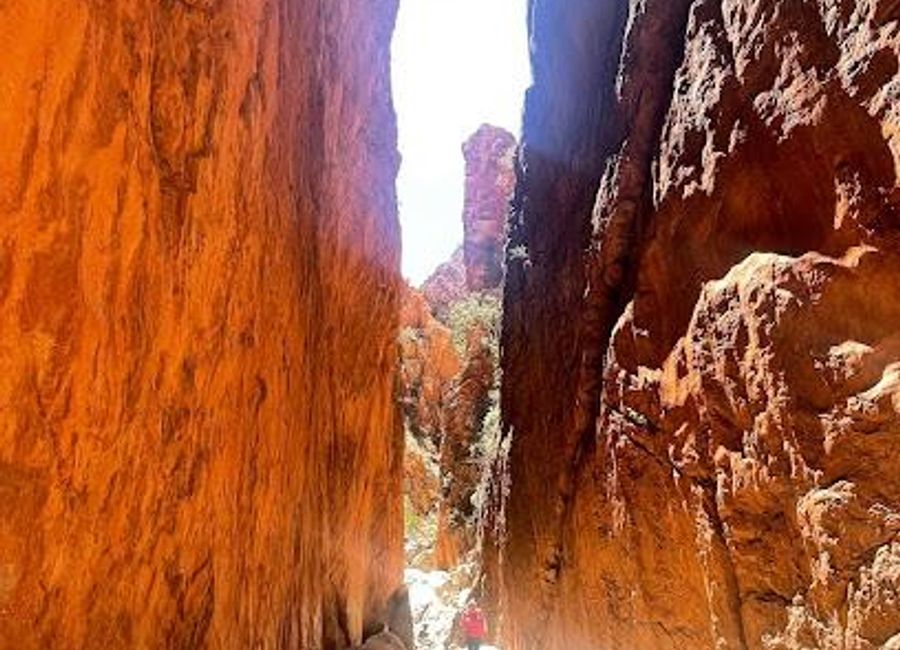 Discover the breathtaking Standley Chasm, a stunning gorge in the Northern Territory, where nature's beauty meets rich Aboriginal culture.