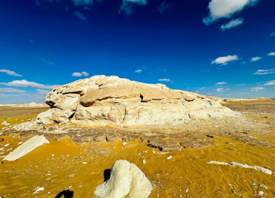 Experience the enchanting beauty of White Desert National Park, where surreal landscapes and unique wildlife await in Egypt's hidden gem.