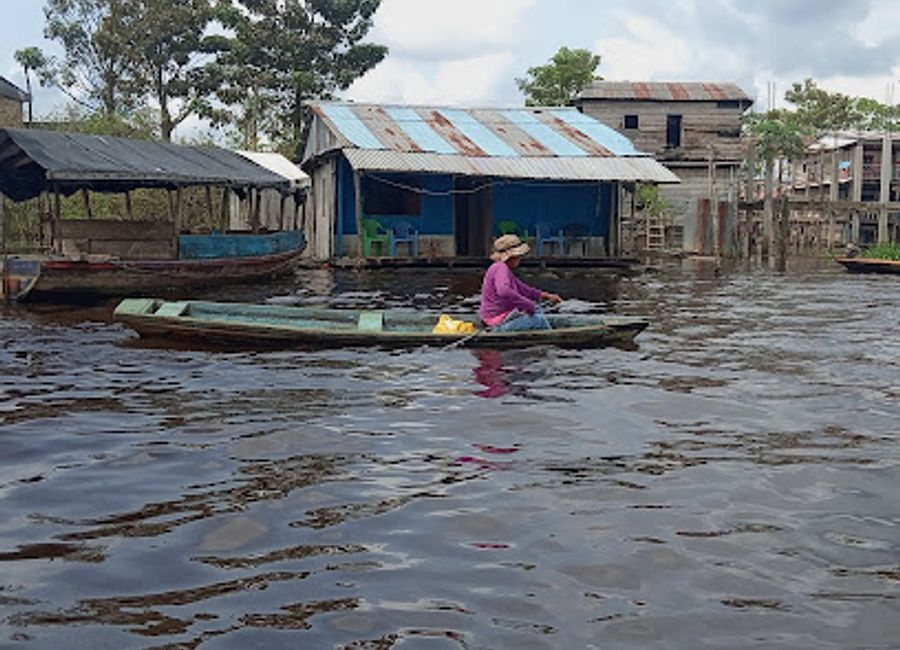 Discover the breathtaking beauty and rich biodiversity of Pacaya Samiria Amazon Safari, an eco-tourism paradise in the heart of the Amazon rainforest.