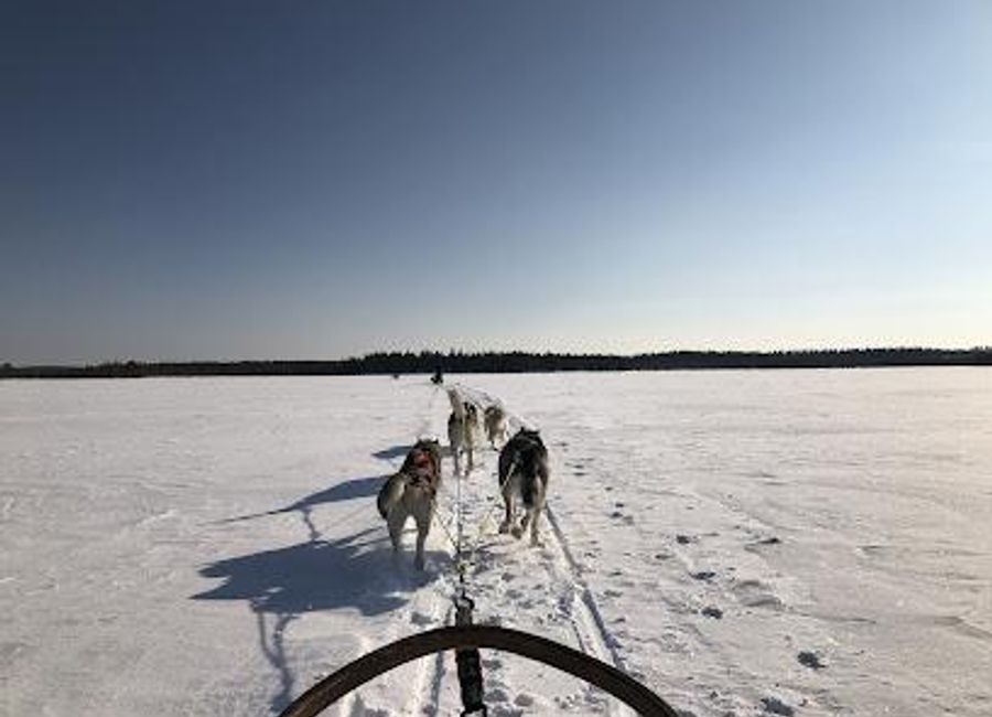 Discover the adventure of husky sledding in the stunning wilderness of Kuusamo, Finland – a must-visit for nature and thrill seekers alike.