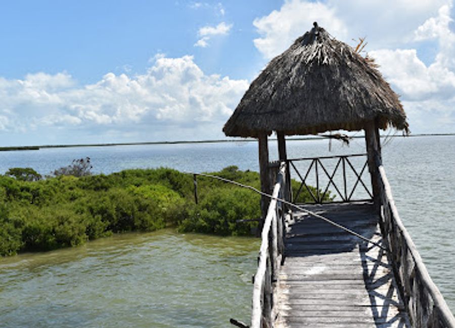 Discover Isla de los Pajaros, a serene wildlife refuge in Holbox, renowned for its stunning birdwatching opportunities and breathtaking natural beauty.