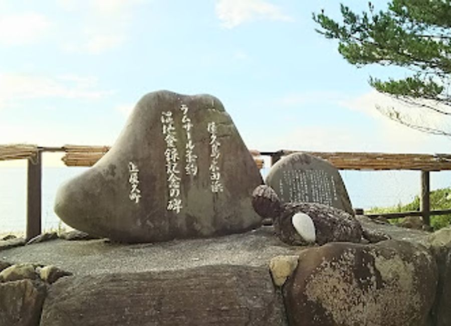 Discover the enchanting world of sea turtles at Yakushima Sea Turtle Hall, where conservation meets education in a beautiful island setting.