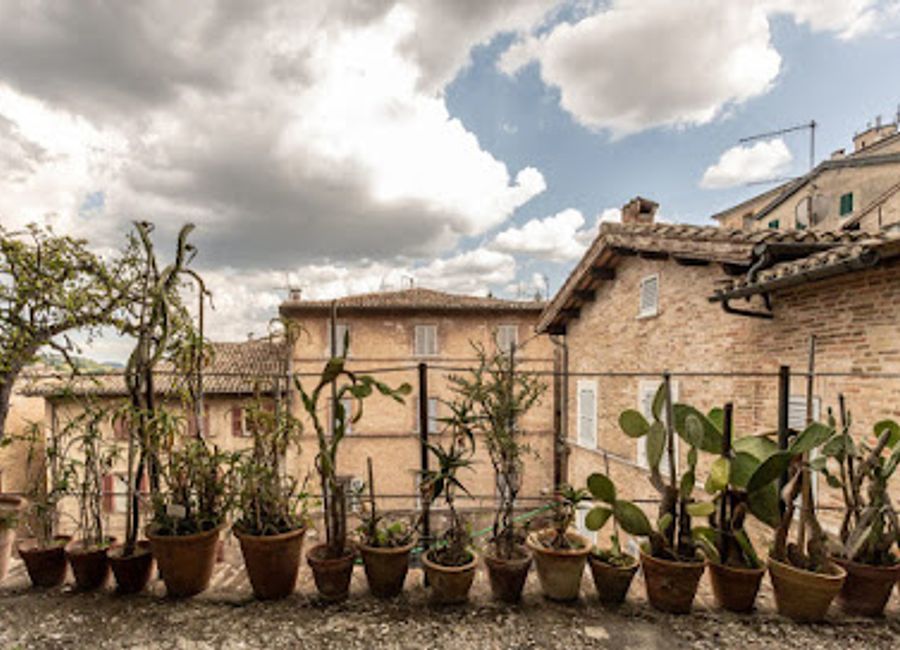 Explore the tranquility of the Botanical Garden of the University in Urbino, a haven for plant lovers and a serene escape in the heart of Italy.