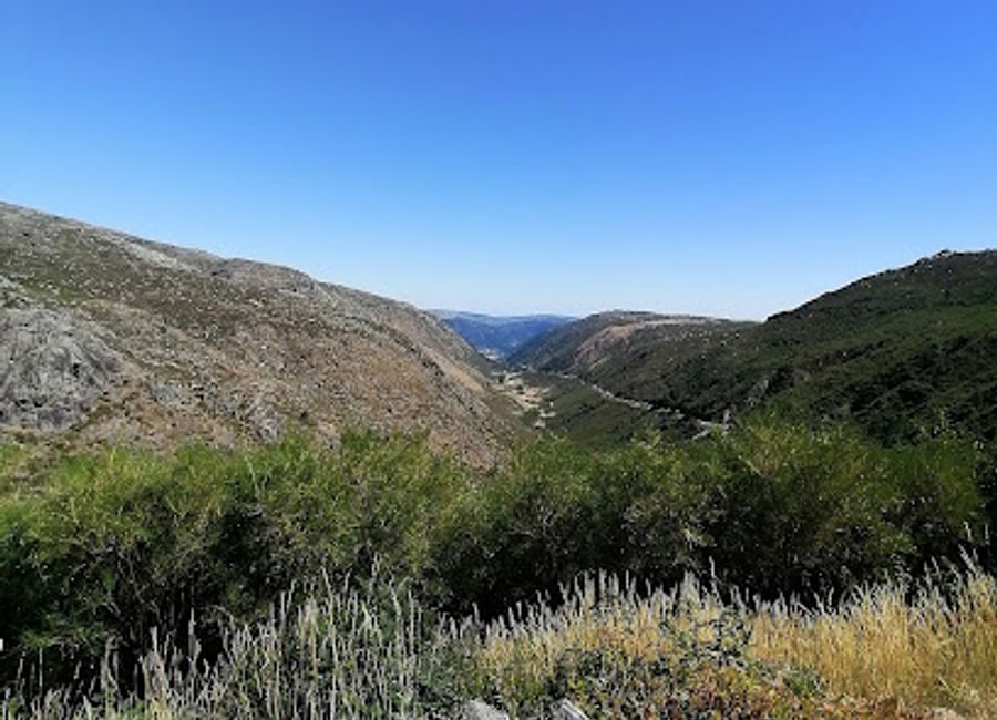 Discover stunning views of Lisbon's skyline and the Tagus River at Miradouro Santa Catarina, a tranquil viewpoint perfect for relaxation and photography.