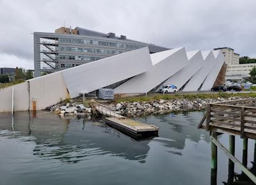 Explore the Arctic marine life at Polaria Aquarium, Tromsø's unique destination for family-friendly education and entertainment.