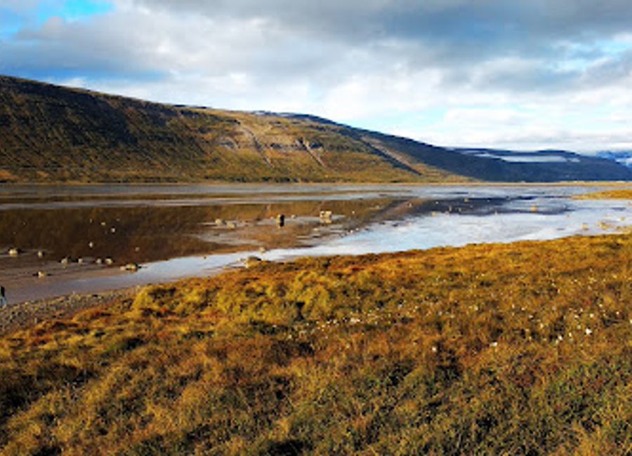 Discover breathtaking views at Drangajökull Observation Deck, a serene escape in Iceland's stunning Westfjords, perfect for nature lovers and photographers.
