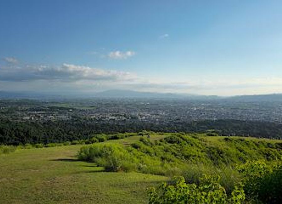 Discover the stunning beauty of Mount Wakakusa in Nara, Japan, where breathtaking views and serene nature await every visitor.