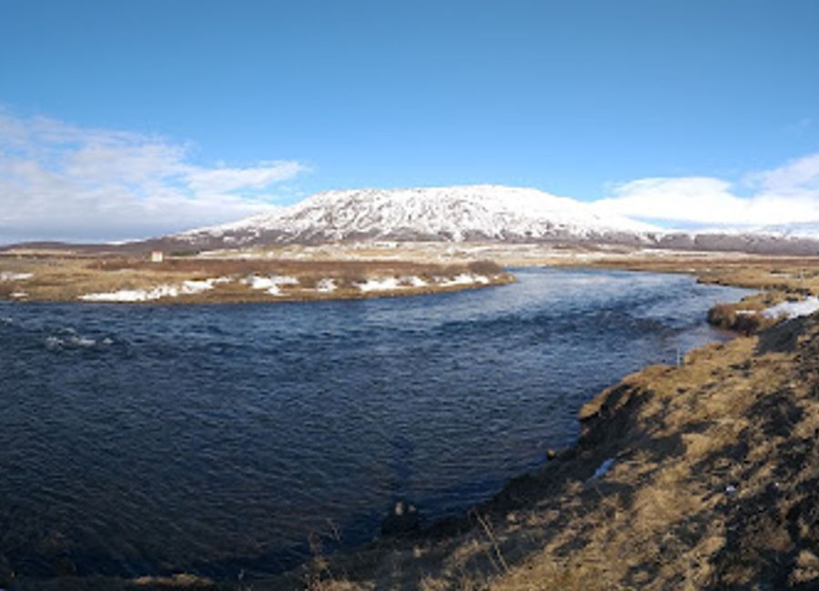 Explore the serene beauty of Vinaskógur, the perfect park for nature lovers seeking tranquility in Iceland's stunning landscapes.