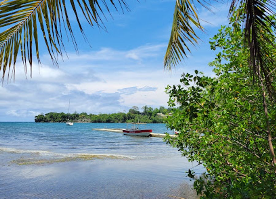 Experience the vibrant underwater world of Jamaica at Lady G'Diver Diving Facility, a top-rated scuba tour agency in Port Antonio offering unforgettable diving adventures.