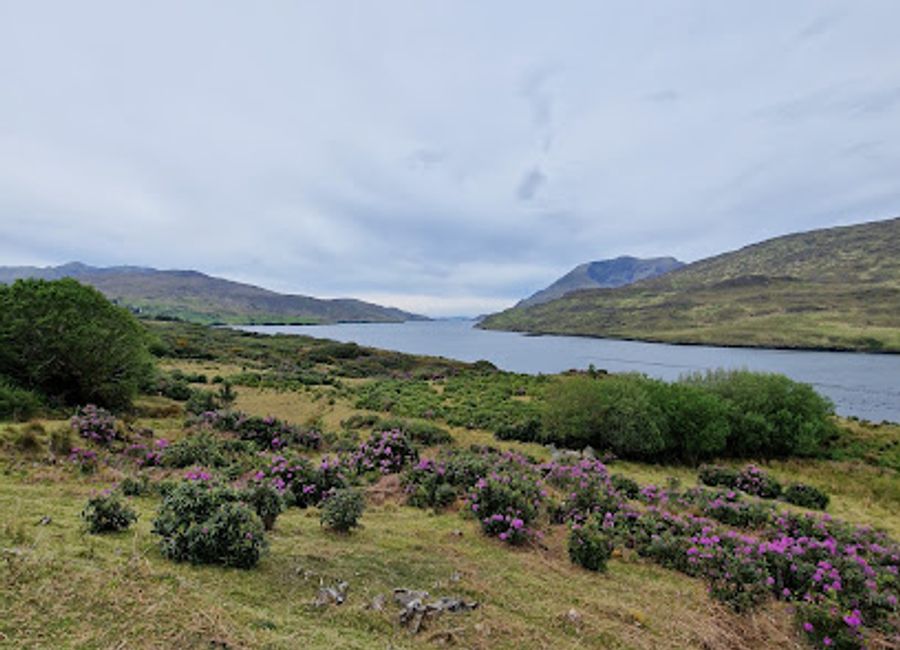 Experience the stunning landscapes of Killary Fjord Viewpoint, a must-visit attraction in Co. Galway, showcasing Ireland's natural beauty.
