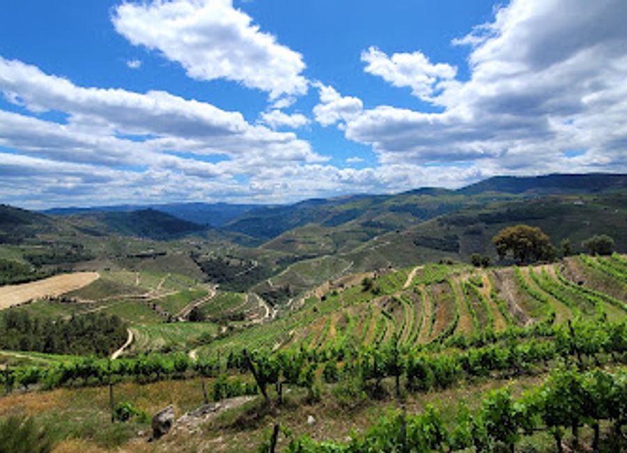 Experience the stunning beauty of Portugal at Miradouro Vale de Mendiz, a breathtaking viewpoint in the heart of the Douro Valley.