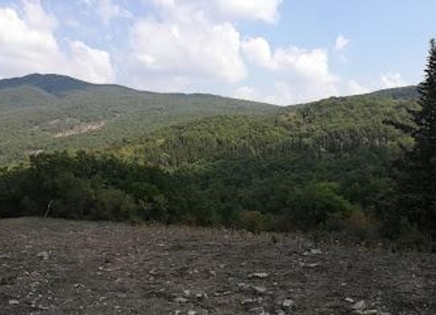 Discover Parco Gallipoli Cognato: A Natural Haven of Biodiversity and Scenic Beauty in Southern Italy.