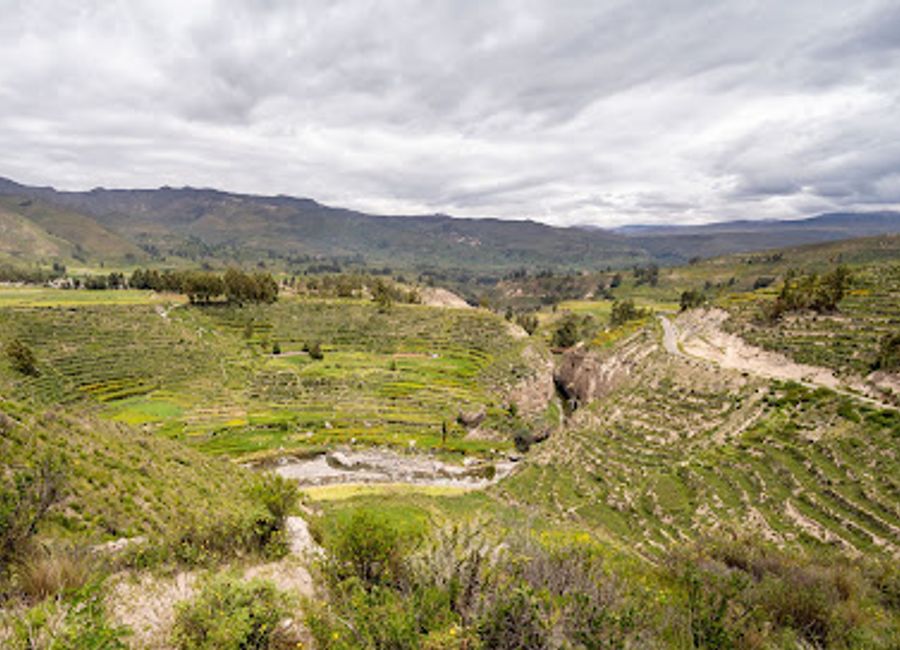 Discover the stunning views of Colca Canyon at Mirador Ocolle, a top attraction in Yanque, Peru, perfect for nature lovers and photographers.