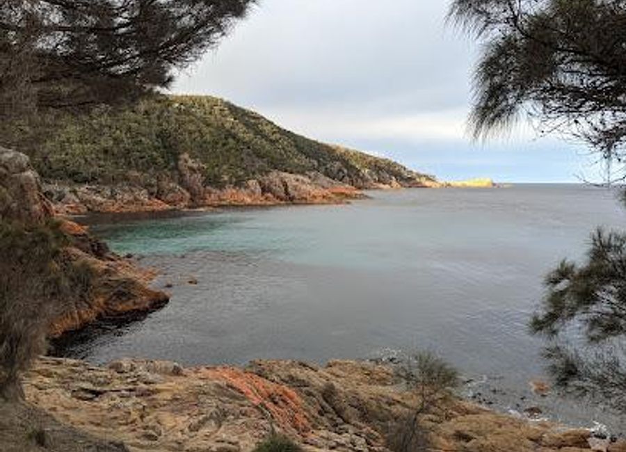 Explore the breathtaking landscapes of Sleepy Bay Track in Tasmania's Freycinet National Park, a perfect getaway for nature lovers and adventure seekers.