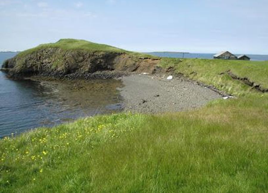 Explore the tranquil beauty and rich history of Videy Island, a serene escape just outside Reykjavik, where nature and culture intertwine.