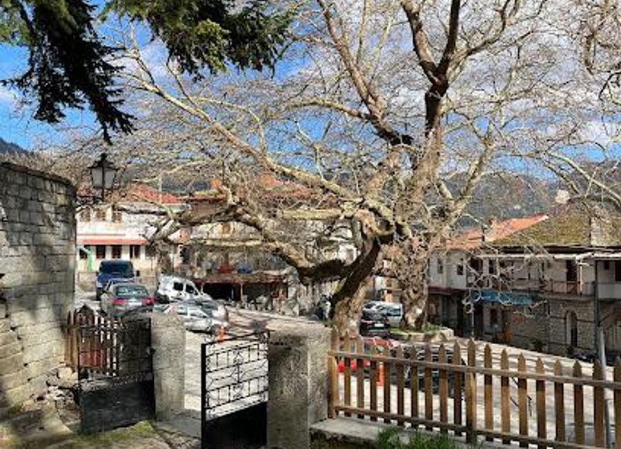 Explore Metsovo, a charming Greek village nestled in the mountains, known for its rich culture, stunning nature, and delightful local cuisine.