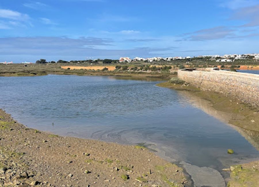 Experience the serene beauty of Parque Ribeirinho de Faro, a picturesque park perfect for relaxation, exploration, and family fun in Portugal.